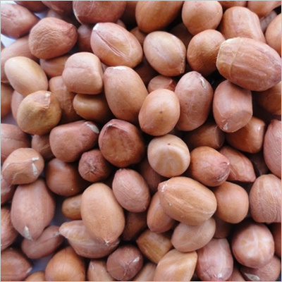 Java Groundnut