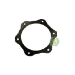 Gasket Side Plate 6 Hole for Tractor