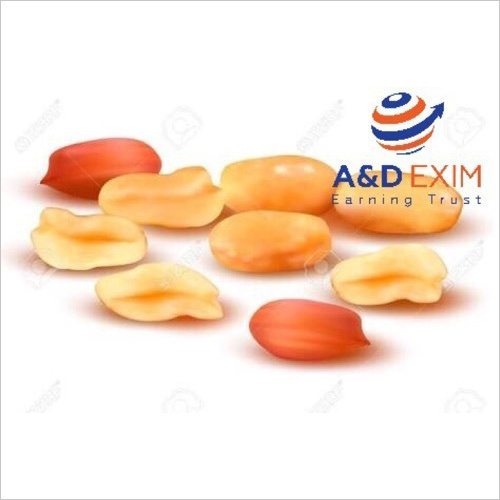 Peanuts New Crop Available Bold TJ JAVA