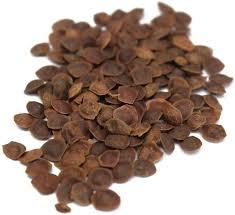 Lajwanti Extract Direction: As Advised By Physician