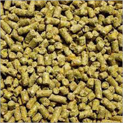 Poultry Feed Raw Material