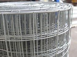 Poultry Weld Corrosion Resistance Mesh