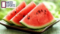 Green Ice Box- Watermelon