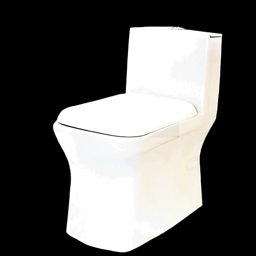 One Piece Toilet