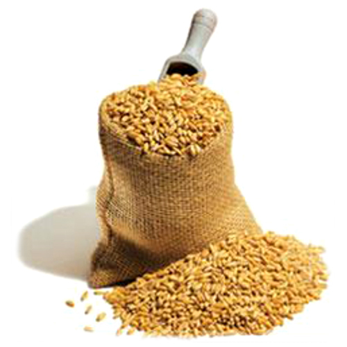 Cattle Feed Manufacturer,Cattle Feed , Supplier, Khanna , Punjab, India