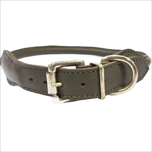 Abaliable In Multicolour Leather Dog Collar