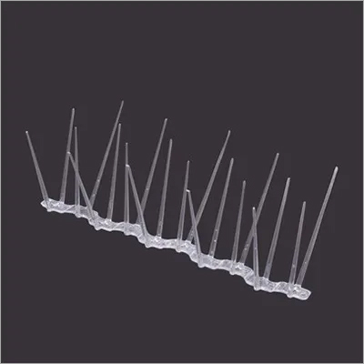 White Bird Spike White Bird Spike