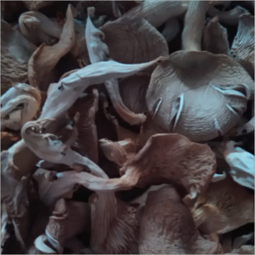 Dried Mushroom