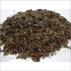 tulsi holy basil leaf dried