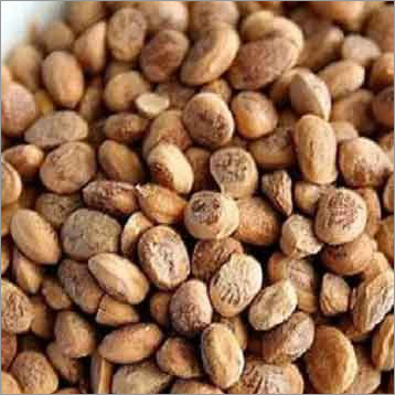 Buchanania Chironji - Dried Nuts | Premium Quality, Rich Flavor, Nutritious Snack