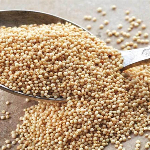 Amaranth Whole Seeds - Organic, Food Grade, 100% Purity, Shelf Life: Up to 12 Months | All-Natural Superfood for Nutrient-Rich Diet