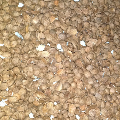 Dry Khumani - Organic, Food Grade, Natural Shape | High Fiber Content, Shelf Life 12 Months, Sweet & Sour Flavor