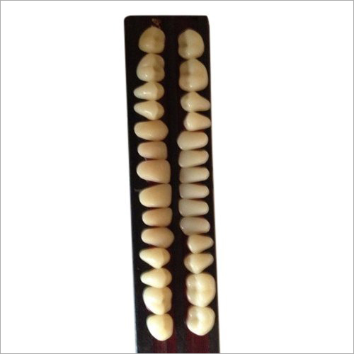 Dental Acrylic Teeth