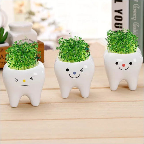 White Dentmark Flower Pot