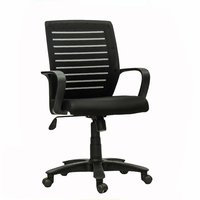 Director Low Mesh Back Chair