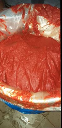 Tomato Paste