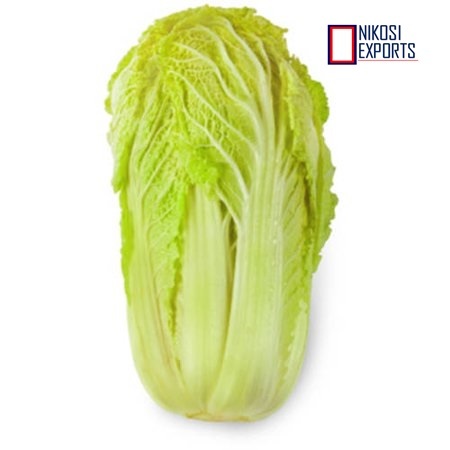 Round Chinese Cabbage