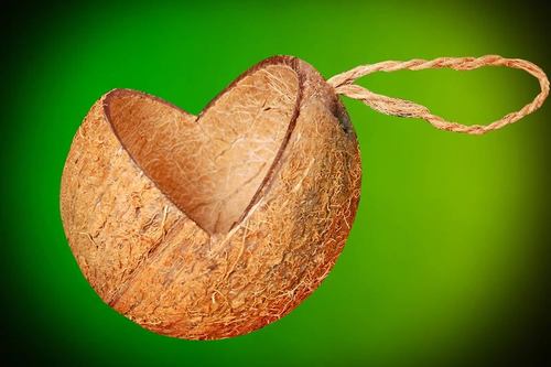 Coconut Shell Bird Feeder V-Cut