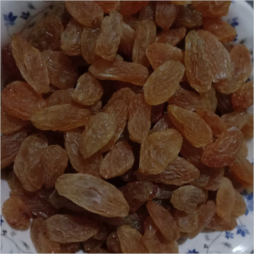 Regular Raisin - Dried Golden Fruit | Common Cultivation Type, Naturally Sweet Flavor