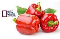 Organic Green Capsicum - 10 Kg Packaging Size, A Grade Quality, Firm Texture And High Moisture Content