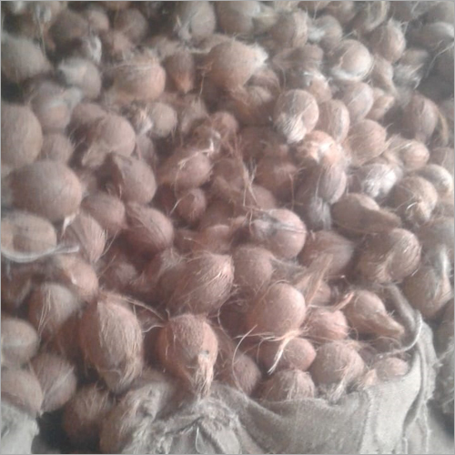 Brown Coconut