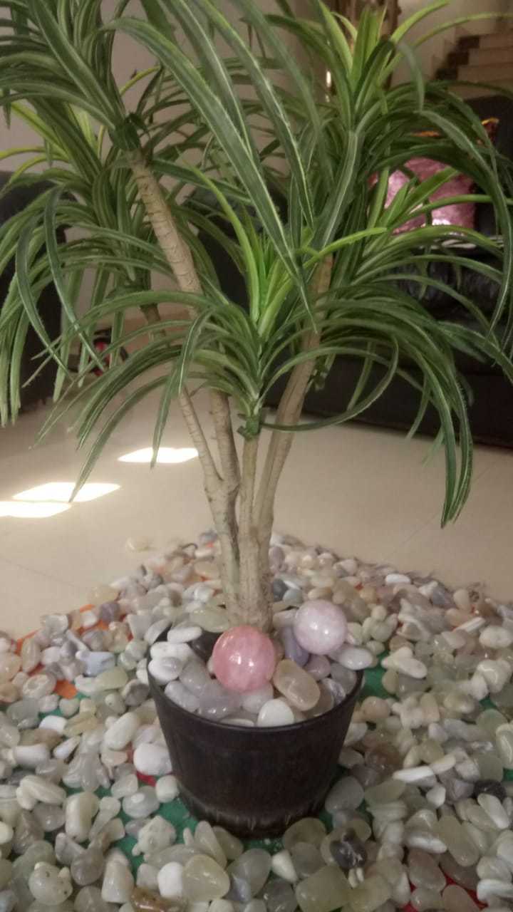wholesale natural agate pebble for plants and garden