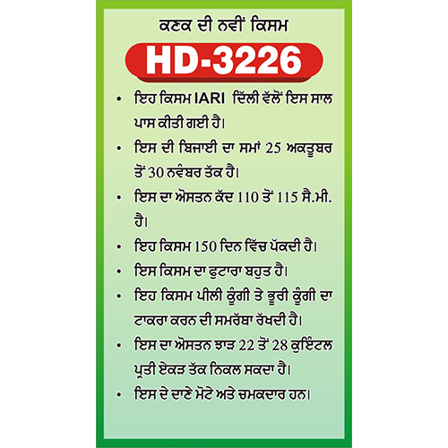 Hd-3226 High-Yield Wheat Seed - Color: Brown