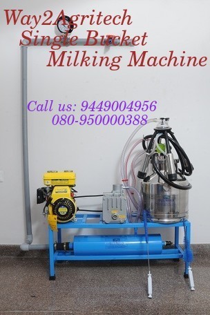 Milking Machine Single Can Fixed Type Pipeline System