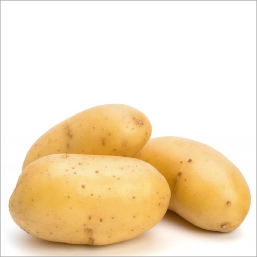 Potato