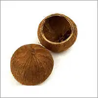 Coconut Shell