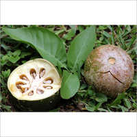 Aegle Marmelos