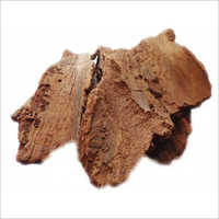 Ficus Religiosa Bark