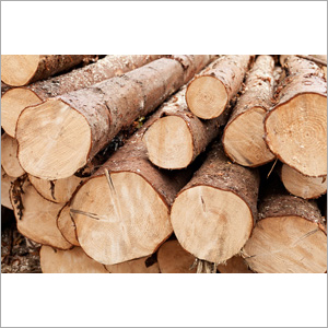 Natural Wood Biomass - Moisture Content 5%-7% | Industrial Energy Source from Trusted Origins