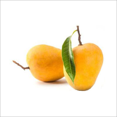 Organic Fresh Mango