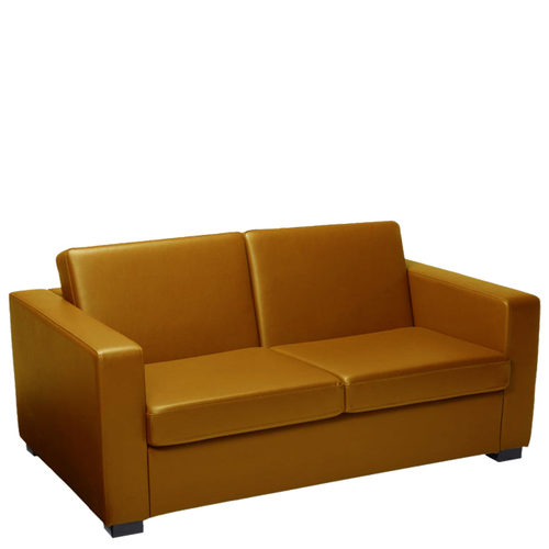 Office Two Seater Leather Sofa