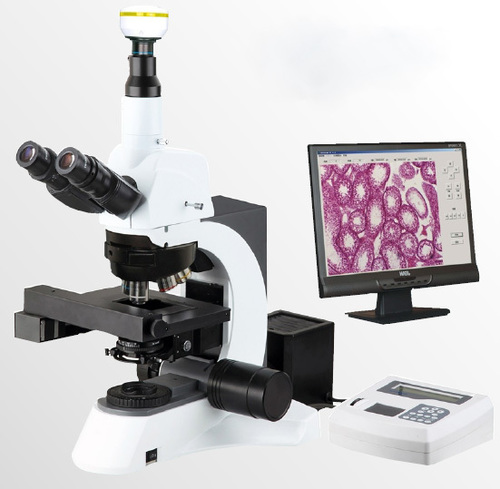 White Teaching Light Microscope