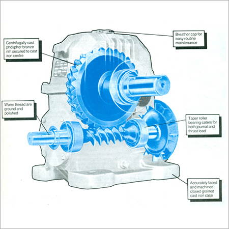 Iron Worm Gear Box