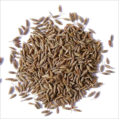 Cumin Seed