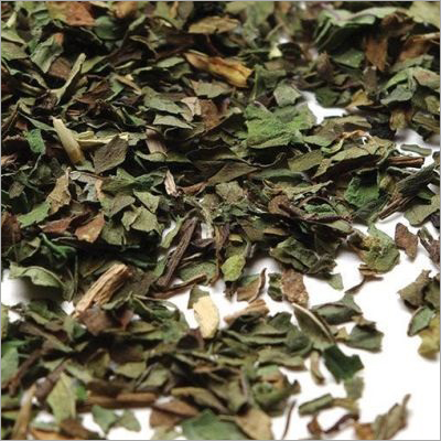 Whole Leaf Grade Tea