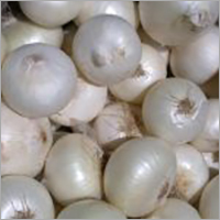White Onion