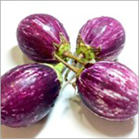 Fresh Brinjal