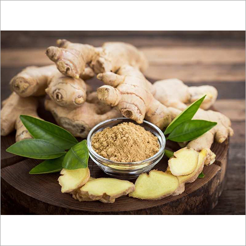 Fresh Ginger - Rhizome 5-15cm Beige | Culinary Spice Aromatic Flavor Versatile Use Fresh Produce