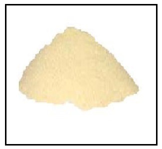 IAA Indole 3 Acetic Acid