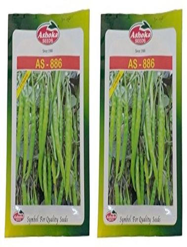 Ashoka Chilli Seeds