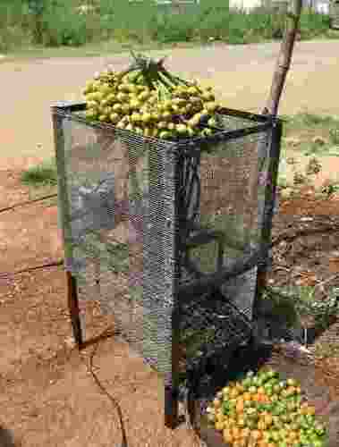 Arecanut bunch beater