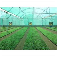 Fan Pad Agricultural Greenhouses