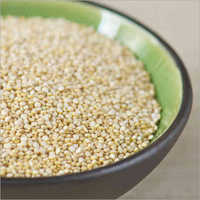Quinoa Grain - Dried, Common Variety | Protein-rich Superfood For Versatile Dishes Like Salads, Pancakes, And Soups