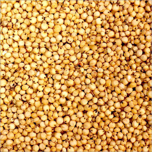 Sorghum Feed Pulses
