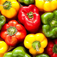 Indian Capsicum - Raw, Food-Grade Packaging | High in Dietary Fiber, Vitamins A, C, E, B6, 2-Month Shelf Life, Ideal for Household and Commercial Use