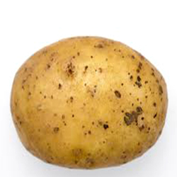 Fresh Potato